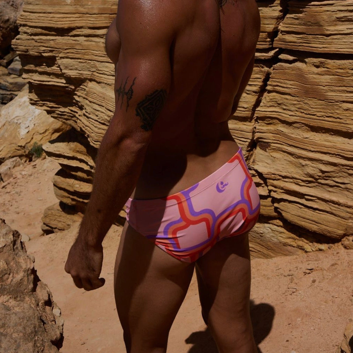Hollywood Swim Brief Pink Link